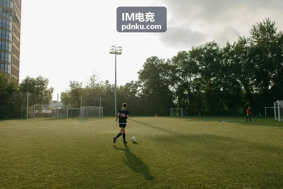 IM电竞赛事数据API