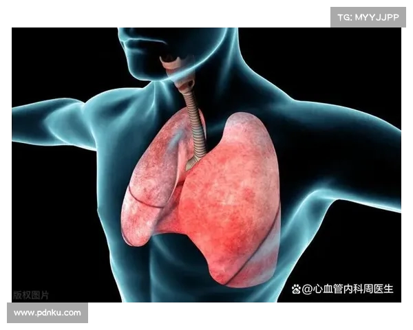 痰的颜色透露健康信号:黑痰、黄痰、白痰背后隐藏的肺部信息(痰是黑黄的什么情况) 痰的颜色透露健康信号:黑痰、黄痰、白痰背后隐藏的肺部信息(痰是黑黄的什么情况)